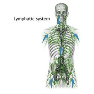 lymphogranuloma_venereum