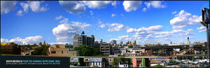 neighborhoods_brooklyn_south_brooklyn