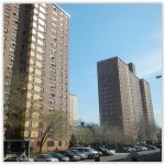 nycha_housing_projects3_300x300