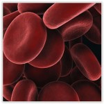 blood_cells_300x300