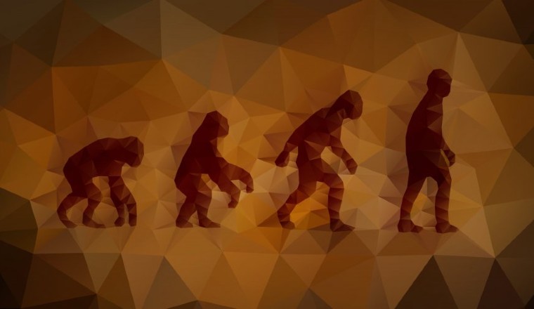 Christianity: What About Evolution? – UrbanAreas.net